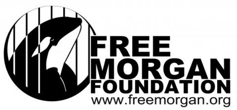 FREE-MORGAN-FOUNDATION
