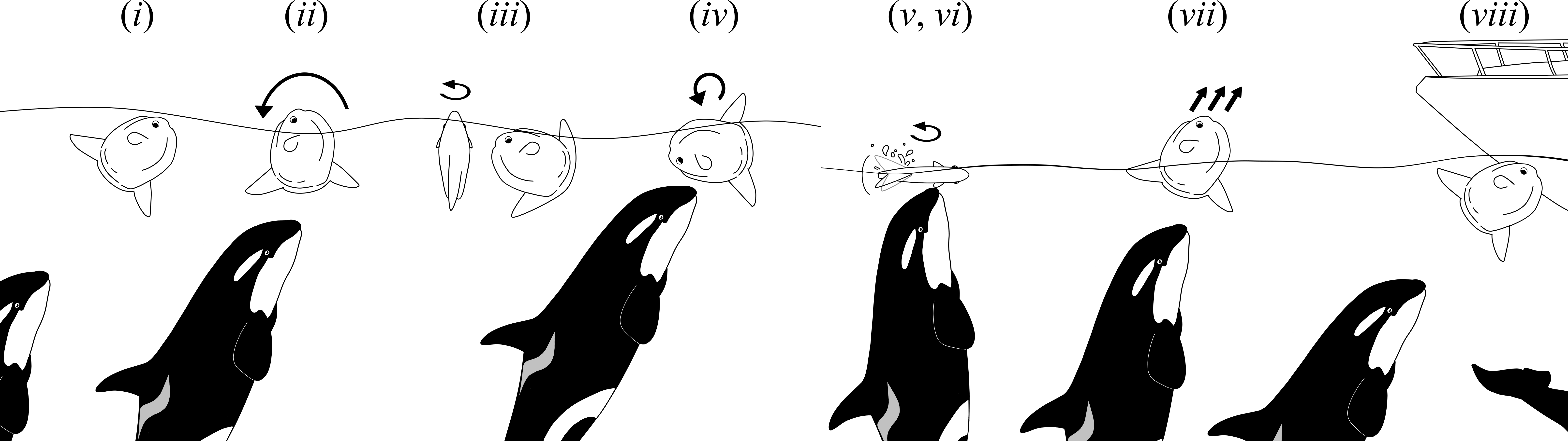 Fig1