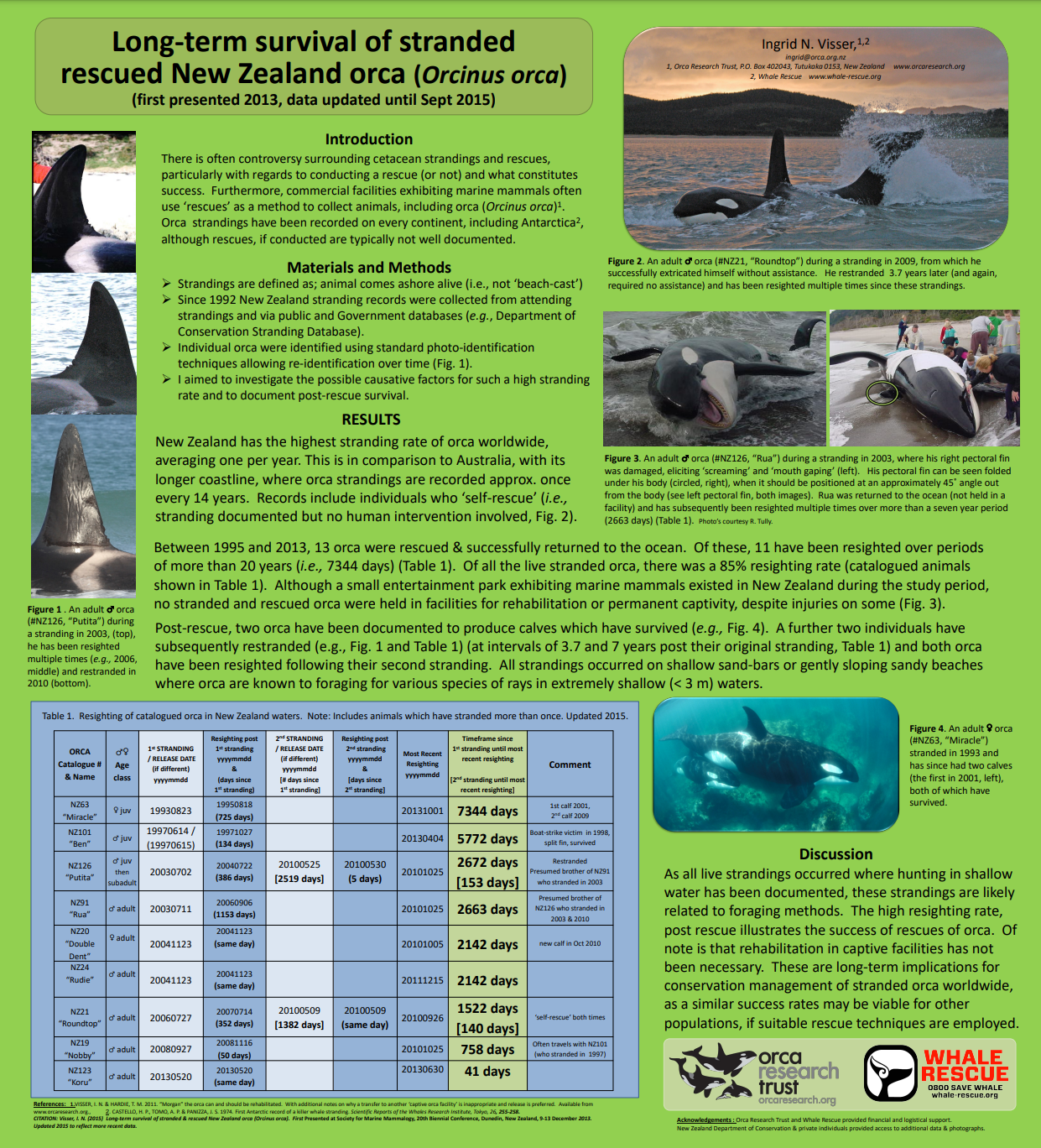 VISSER-2015-ORCA-STRANDING-POSTER-updated-20150911