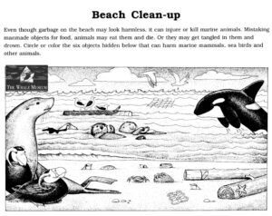 Beach Clean-up