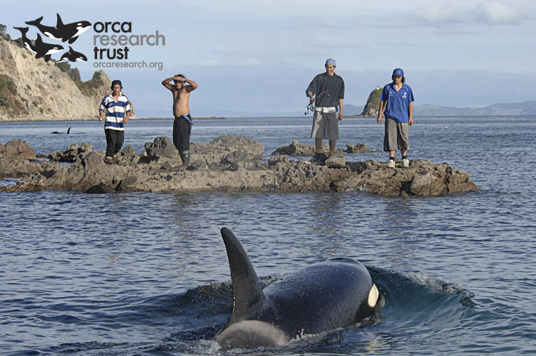 ORCA-_07w