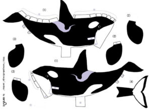 Orca cut & stick